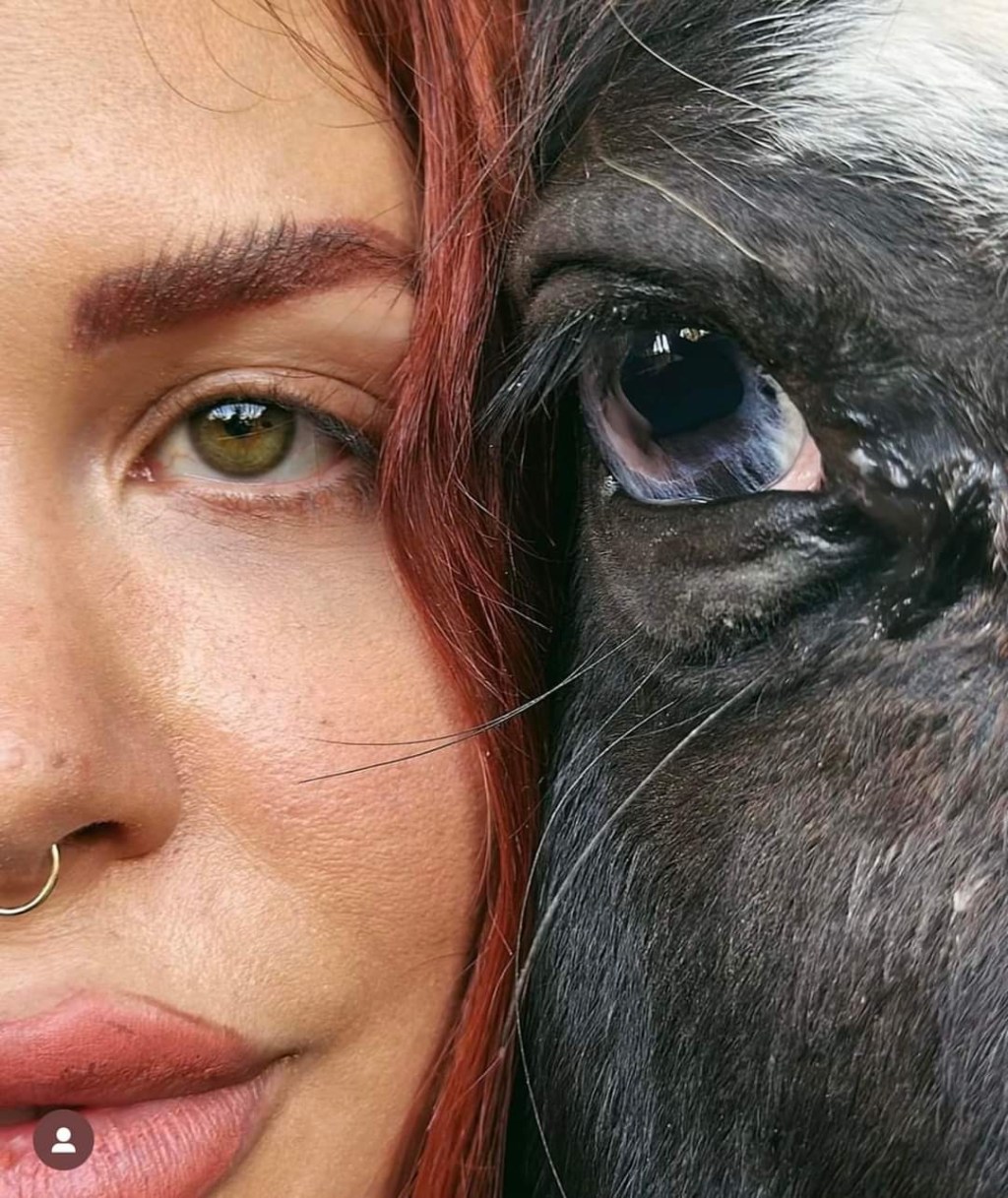 Elena Larrea: Una Vida Dedicada a la Defensa de los Equinos