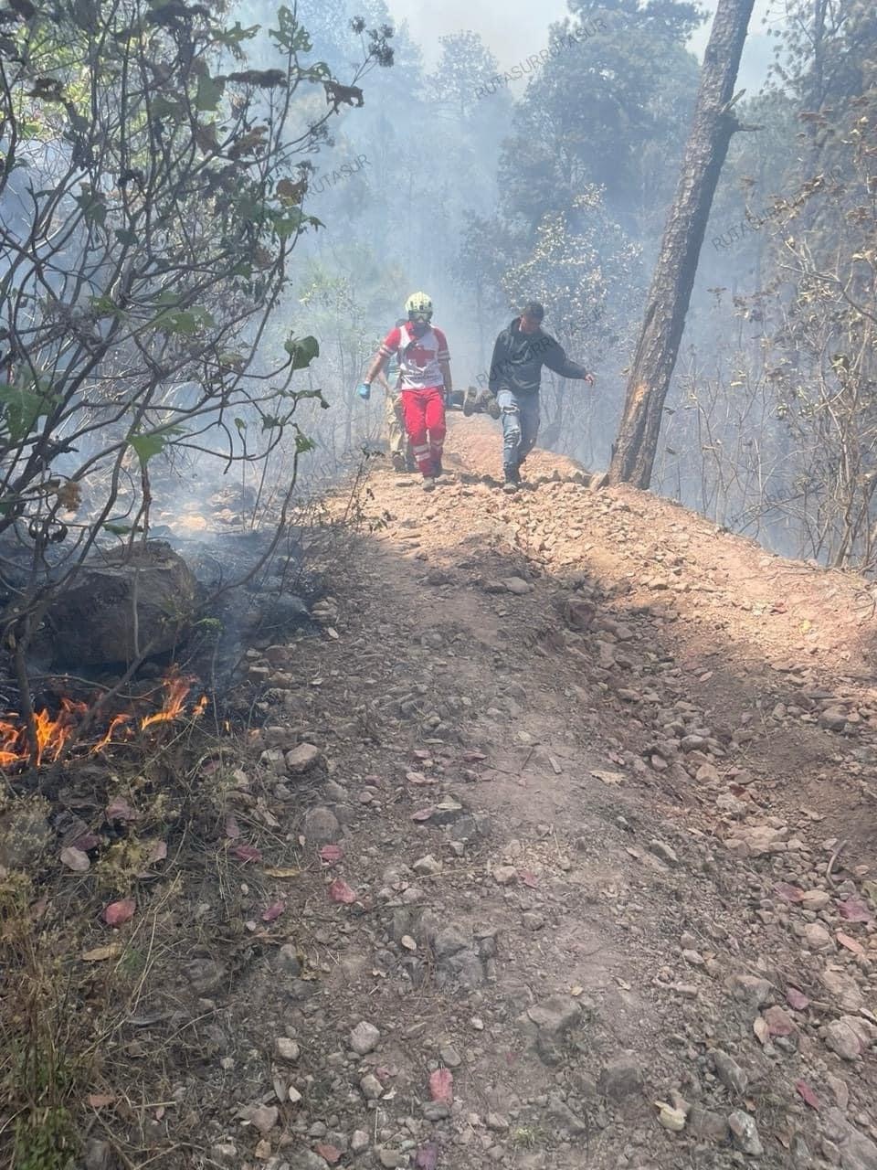 Tragedia en Donato Guerra: Incendio Forestal Causa la Muerte de Tres Personas